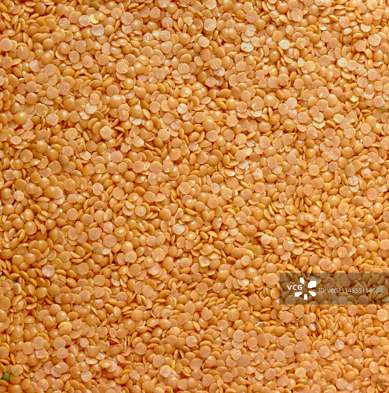 干小扁豆图片素材