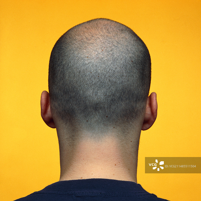 一个留着非常短的头发的男人的后脑勺图片素材