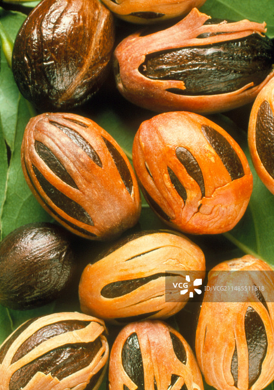 完整肉豆蔻，Myristica fragrans图片素材