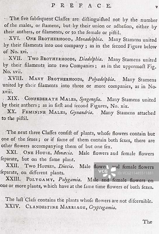 林奈的植物学分类图片素材