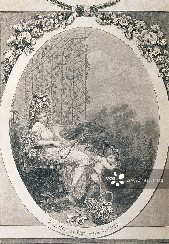 伊拉斯谟·达尔文植物园的卷首插画图片素材