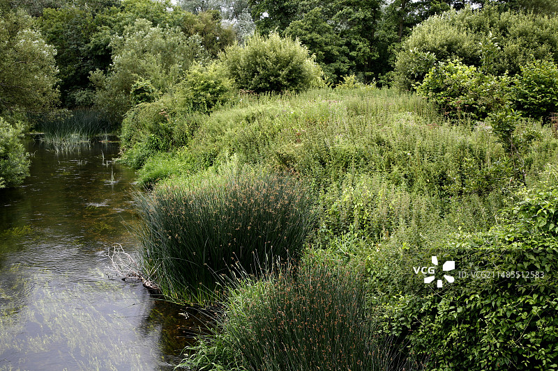 河岸栖息地图片素材