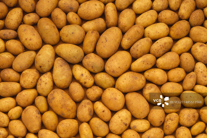 未经烹煮、切片和去皮的新鲜土豆图片素材