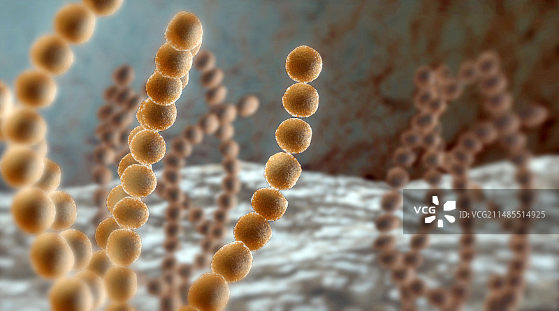 球状细菌图片素材