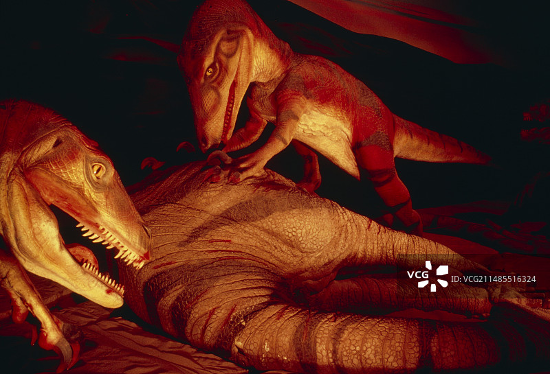 恐爪龙复原图图片素材