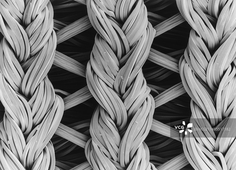 莱卡/尼龙交织物的扫描电镜图像图片素材