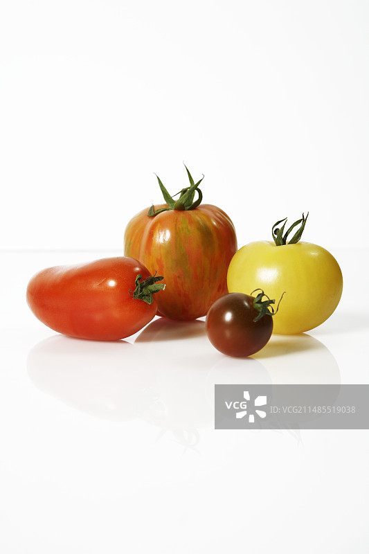 西红柿图片素材