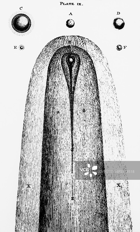 18世纪彗星大小图图片素材