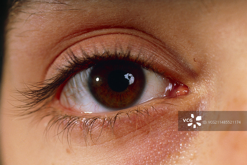 年轻女人的棕色眼睛图片素材