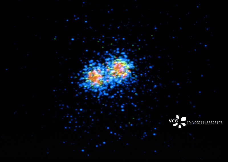活跃星系M87 (NGC 4486)的X光影像图片素材