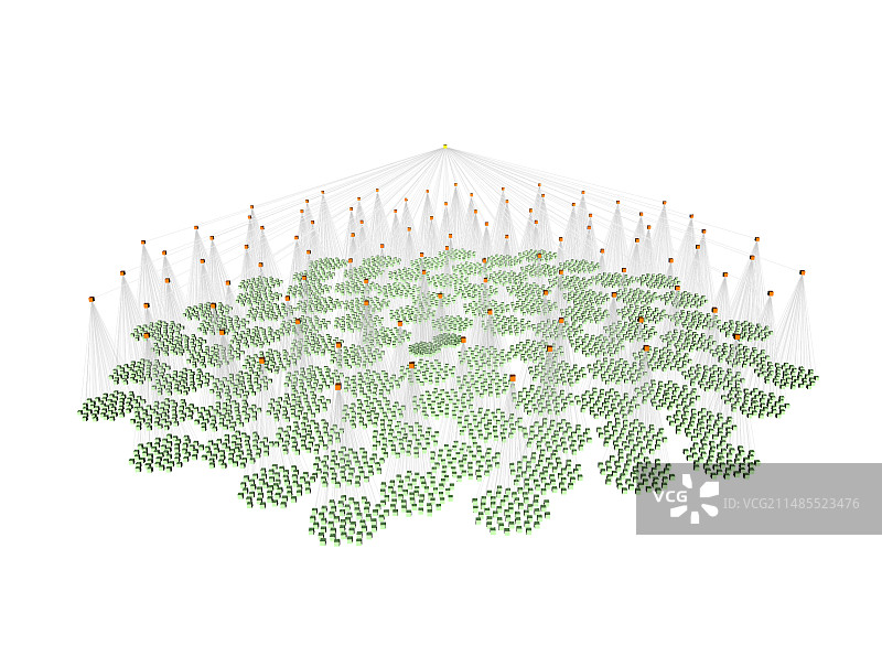 3D叶序模型图片素材