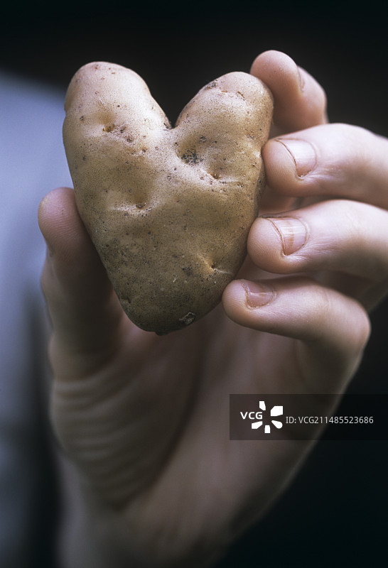 有机土豆图片素材