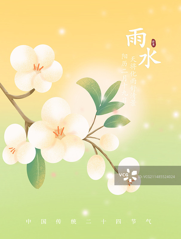 中国传统节气雨水梨花植物插画平面设计海报模版图片素材
