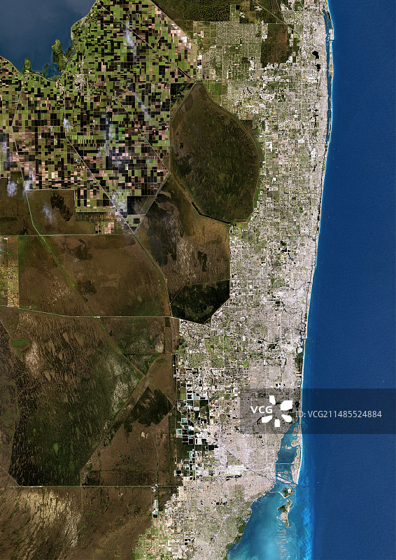 迈阿密卫星图像图片素材