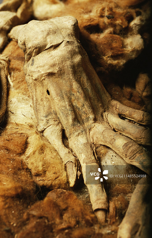秘鲁印加木乃伊的手图片素材
