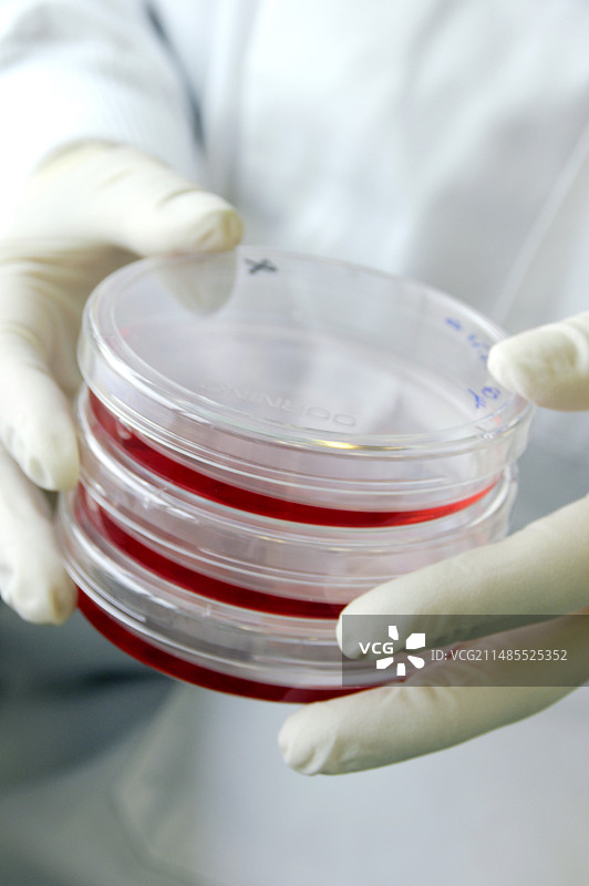 生物研究图片素材