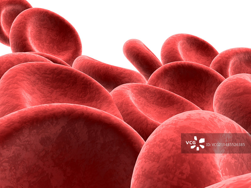 红细胞图片素材