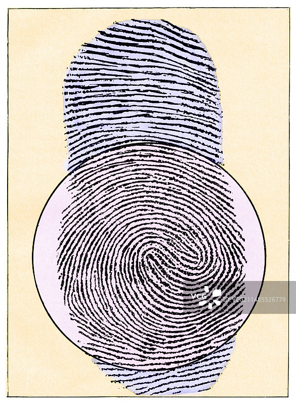 放大的指纹图片素材