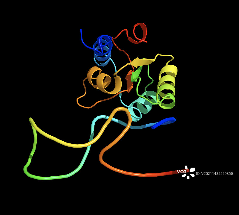 核糖体和mRNA图片素材