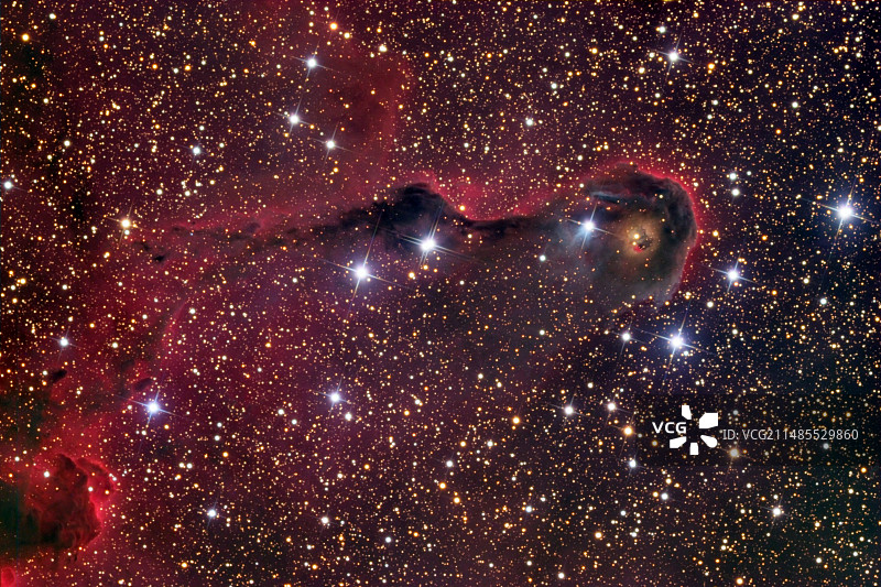 象鼻星云(IC 1396A)图片素材