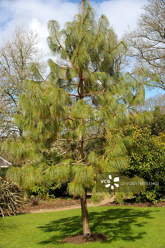 哈特维格松图片素材