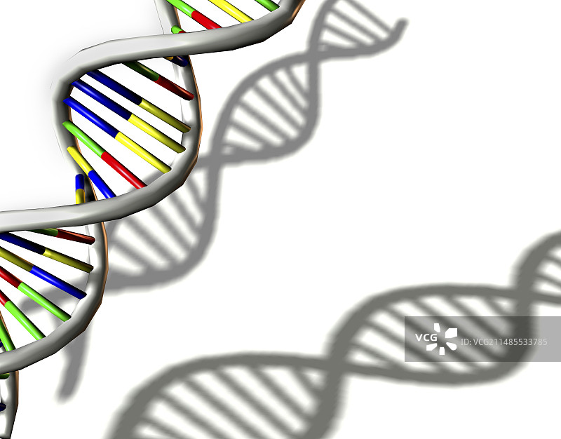 DNA分子图片素材