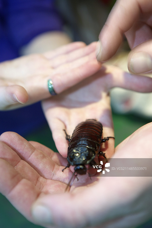 生物课图片素材