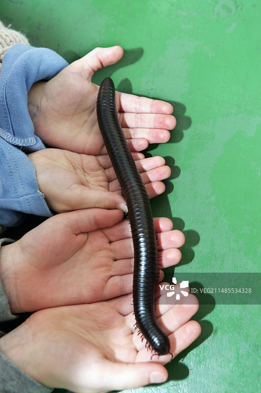 生物课图片素材