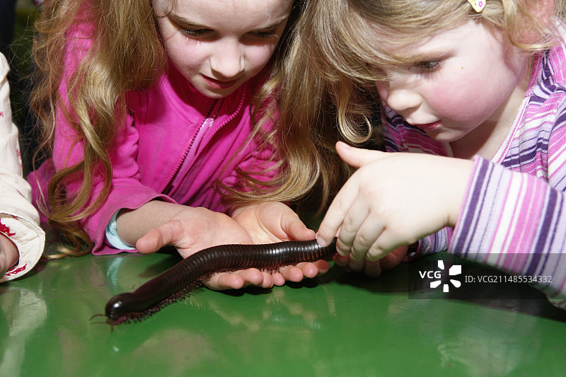 生物课图片素材