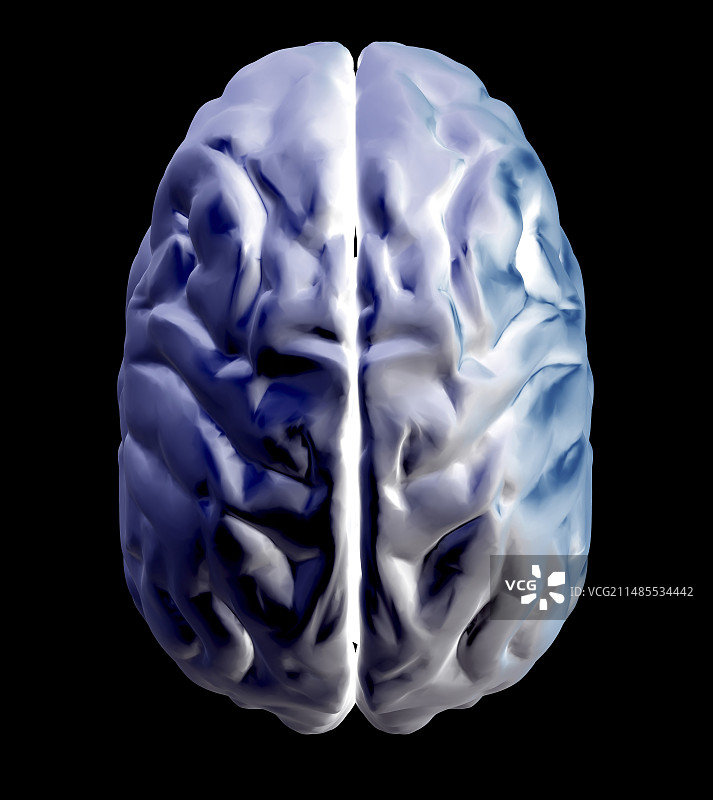 大脑图片素材