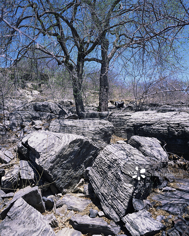 新元古代碳酸盐岩图片素材