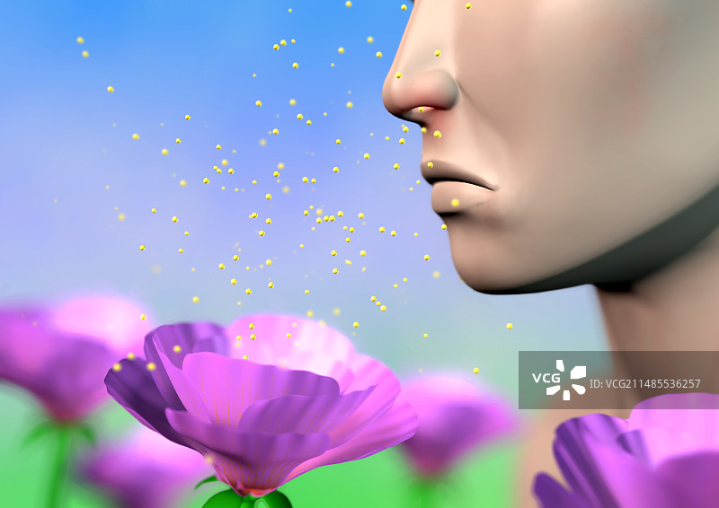 花粉热图片素材