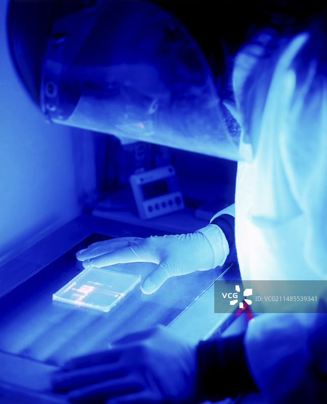 精子库图片素材