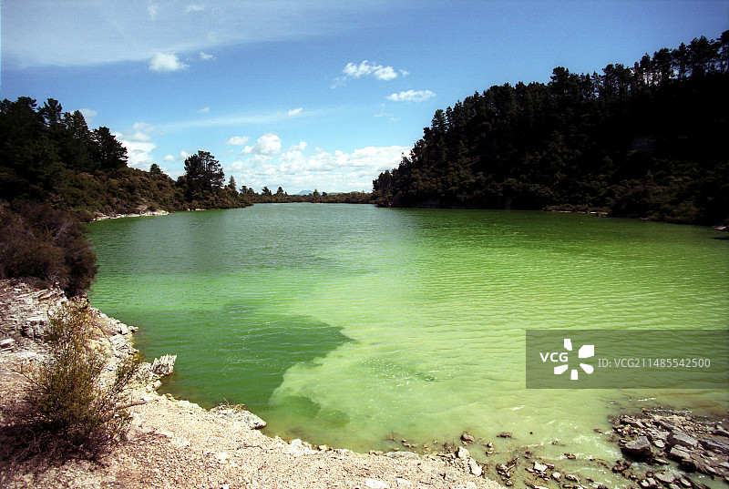 新西兰地热池图片素材