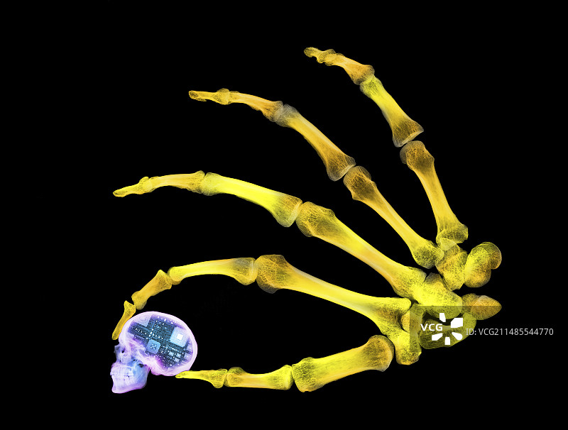 手持电子骷髅头的骷髅图片素材