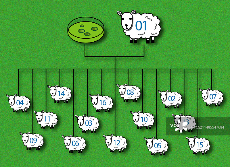 动物克隆图片素材