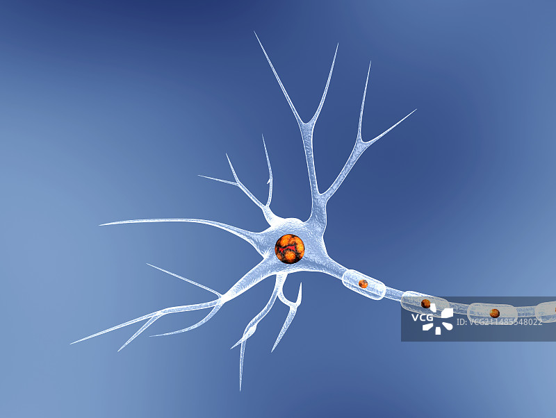 神经细胞图片素材