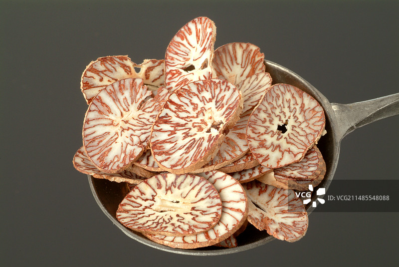 槟榔果实图片素材