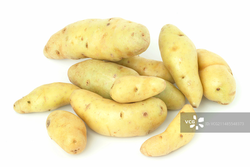 拉特土豆图片素材