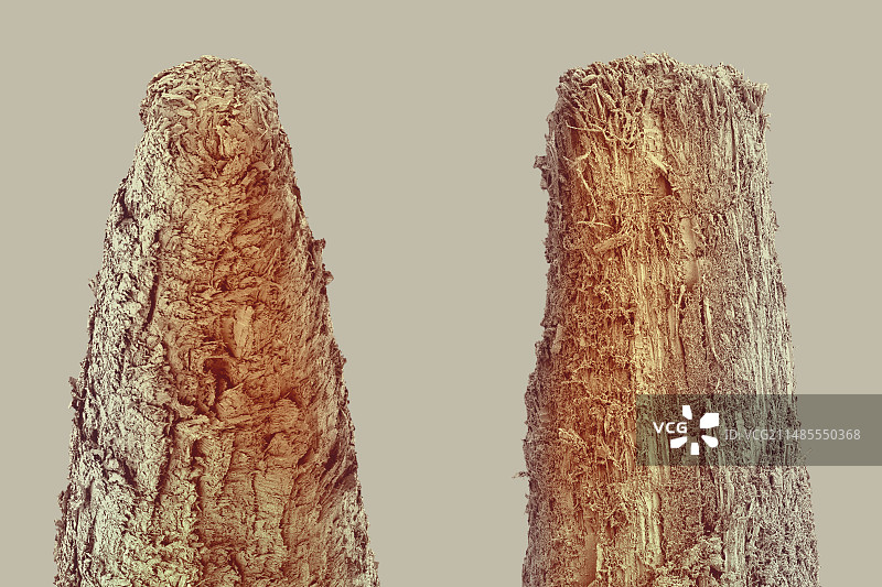 用过和没用过的牙签，扫描电镜图片素材