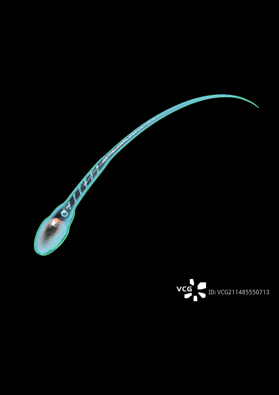 精子细胞电脑艺术图图片素材