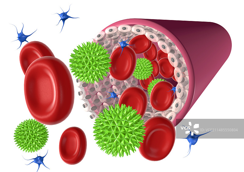 血管和细胞计算机艺术图图片素材