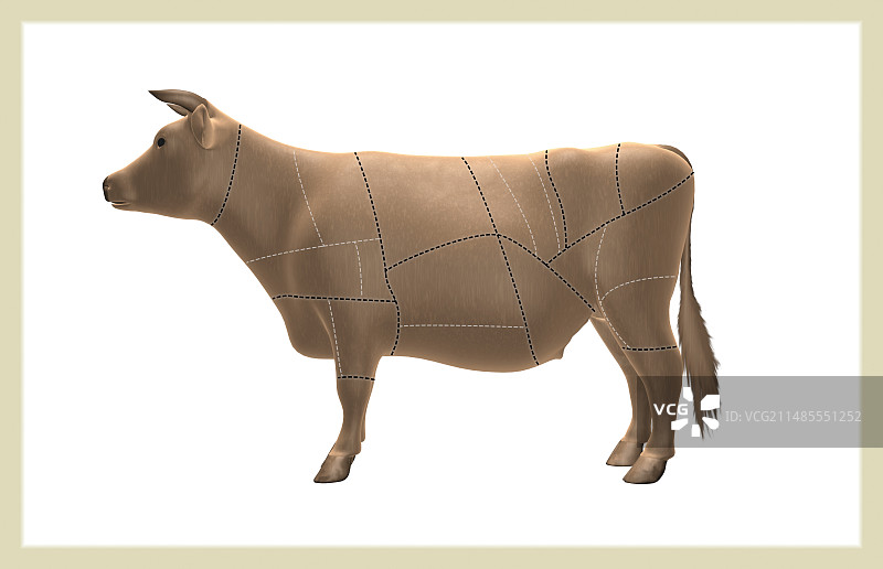 牛肉切块图片素材