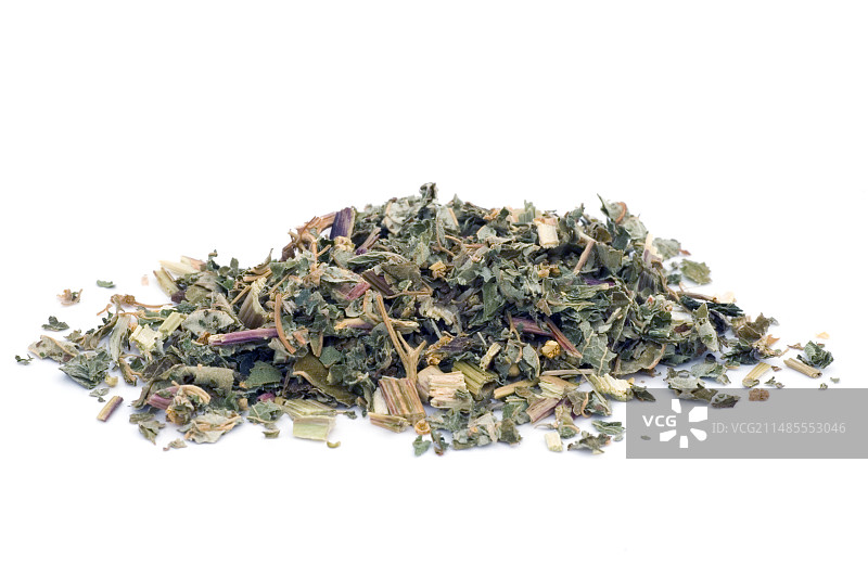 绣线菊图片素材