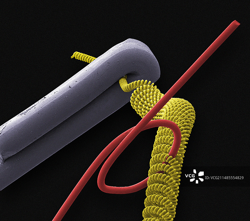 灯泡灯丝扫描电镜图图片素材