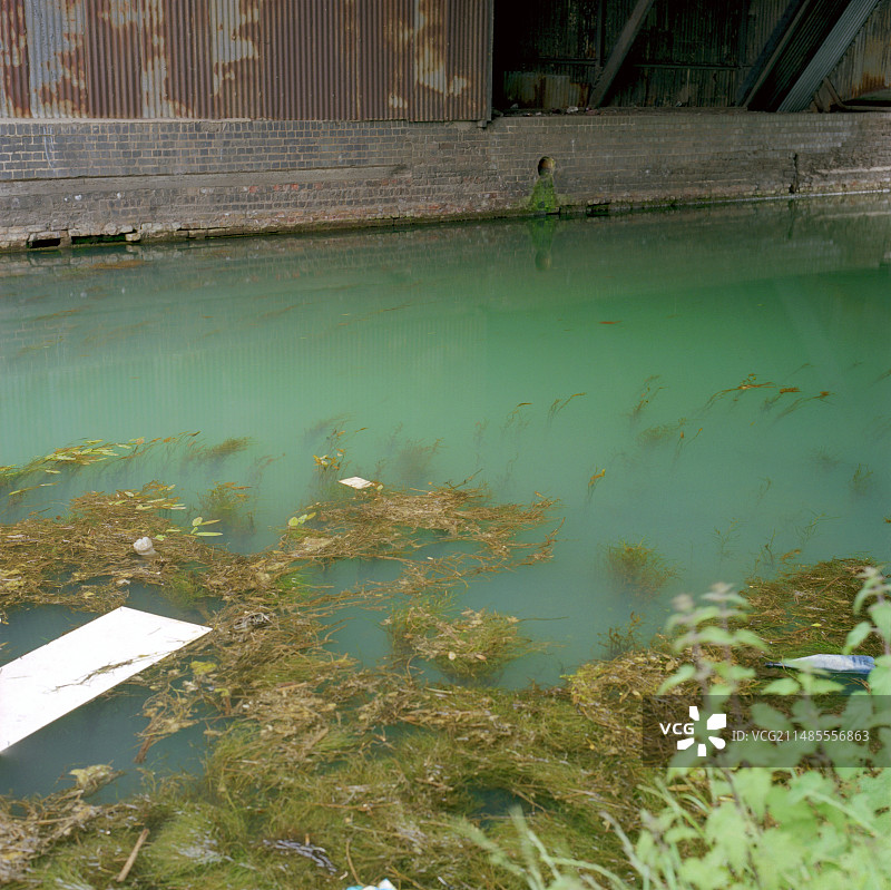 受污染的运河图片素材