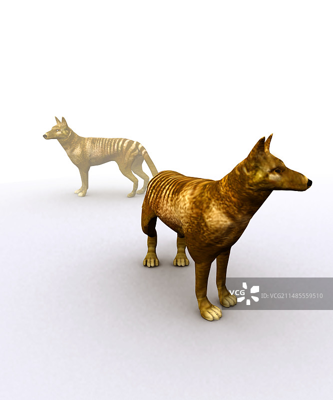 塔斯马尼亚狼电脑艺术作品图片素材