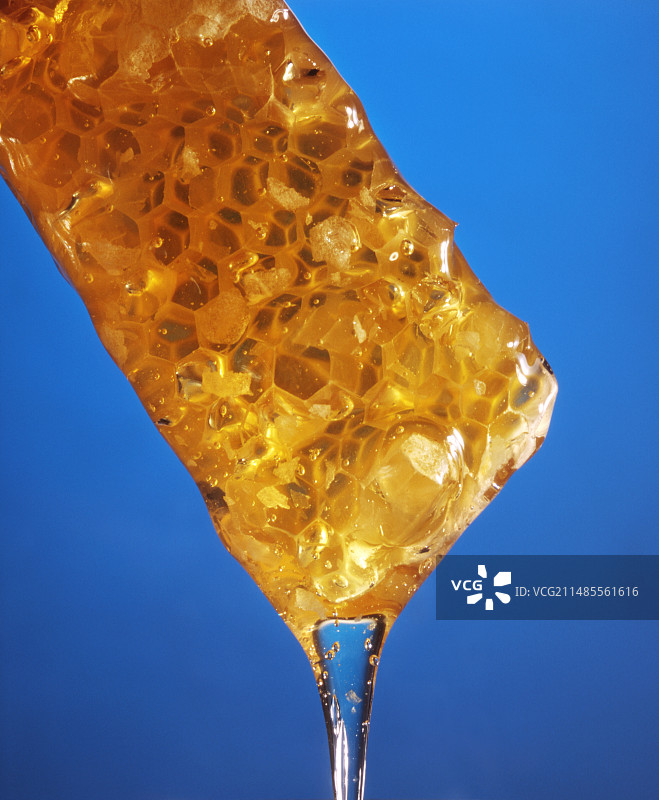 蜂巢滴下的蜂蜜图片素材
