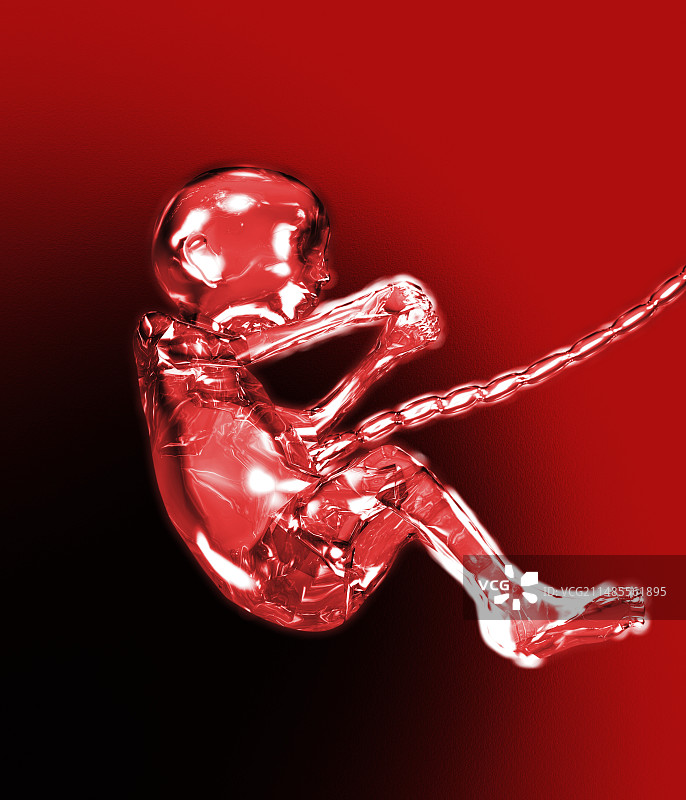 人类胎儿图片素材