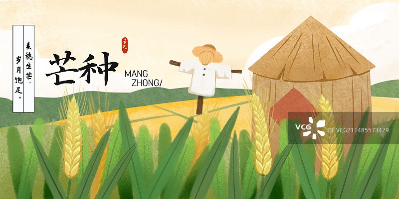 芒种夏天节气插画设计模板图片素材